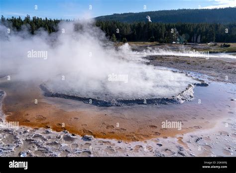 Crested Pool Hot Spring In Yellowstone National Park Stock Photo Alamy