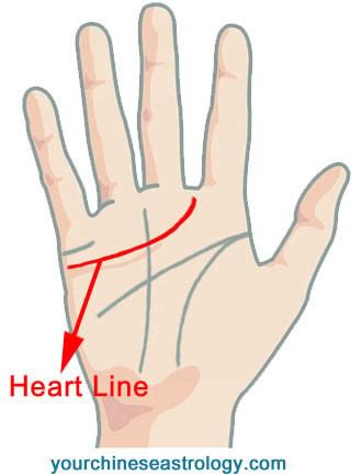 Palm Reading Heart Line, Love Line - Chinese Palmistry