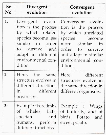 Convergent Evolution Vs Divergent Evolution