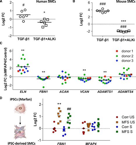 Glycoproteomic Analysis Of The Aortic Extracellular Matrix In Marfan