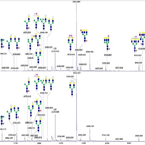 Representative Maldi Tof Ms Spectra Showing Typical Serum N Glycan