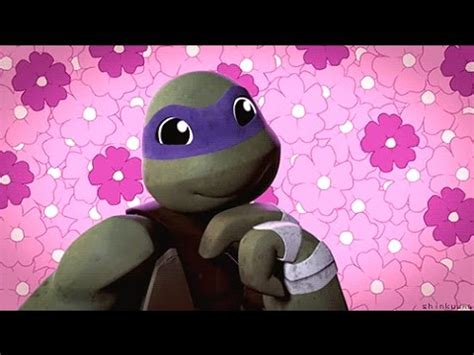 Best Of Donnie Tmnt Season Youtube