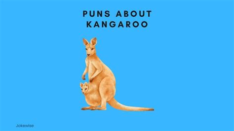 100 Funny Kangaroo Jokes That Will Make You Laugh Jokewise