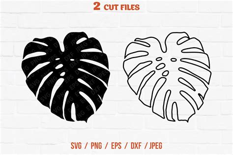 Monstera Leaf Svg Graphic By Vitaminsvg Creative Fabrica