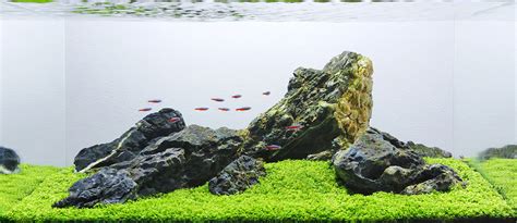 Aquascape Analysis of George Farmer's One-Pot Iwagumi - ScapeFu