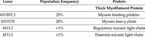 Sarcomeric Gene Mutation Described In Hypertrophic Cardiomyopathy