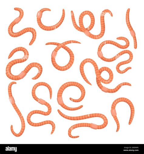 Cartoon Pink Worms Set Stock Vector Image And Art Alamy