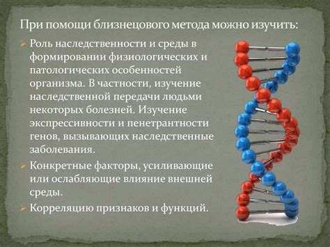 Антропогенетика: близнецовый метод - online presentation