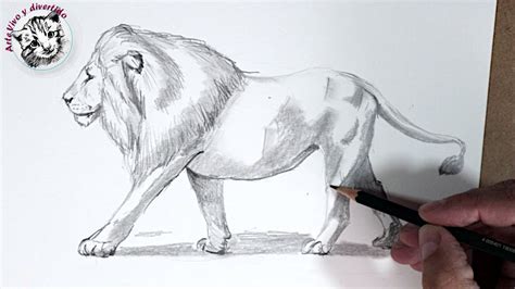 Top Imagen Dibujos De Leones Realistas A Lapiz Abzlocal Mx