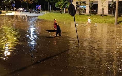 Krajobraz Po Nocnych Nawa Nicach W Regionie Po Amane Drzewa Zalania