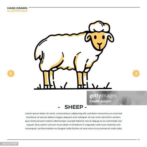 Sheep Hand Drawn Icon Design High Res Vector Graphic Getty Images