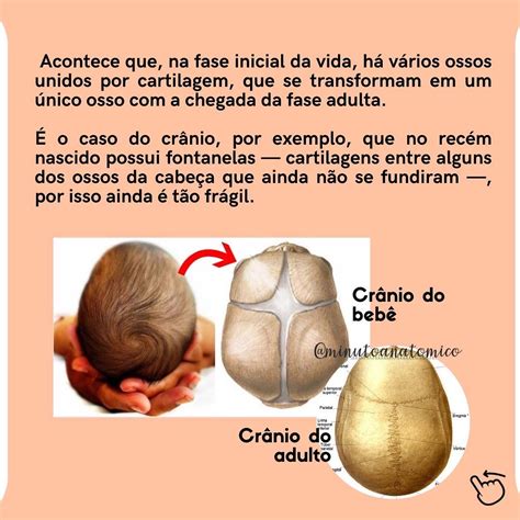 Quem Tem Mais Ossos Um Bebê Ou Um Adulto - 8