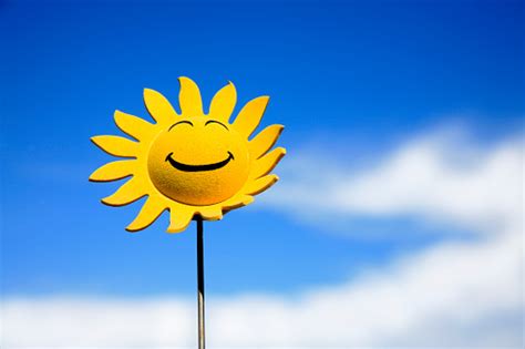 Sunflower Smiley Face Stock Photo - Download Image Now - iStock