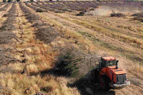 Agricultores dos EUA lutam contra a mais drástica seca no campo