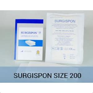 Surgispon Size Absorbable Hemostatic Gelatin Sponge At Best Price