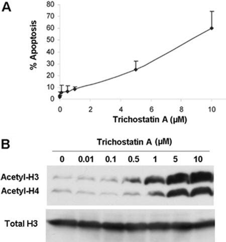 Trichostatin A Induced Apoptosis And Histone Acetylation In Rptcs A