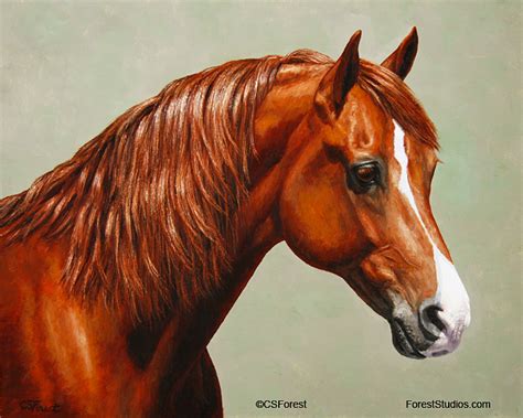 Crista Forests Animals And Art Chestnut Horse Portrait Fame