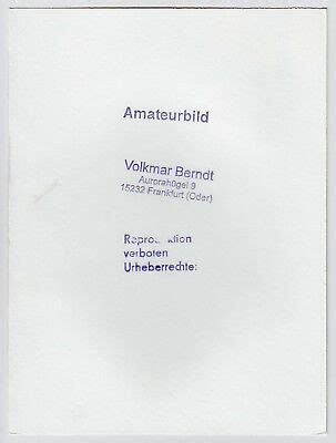 Pretty Nude In The Woods Ddr Nackte Im Wald Vintage S Photo V Berndt Eur Picclick De