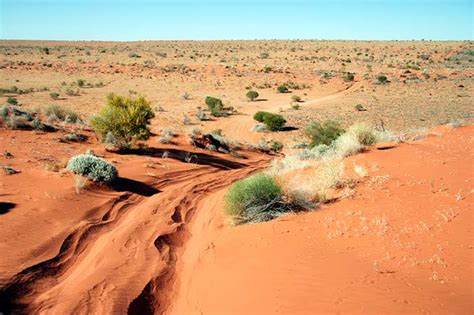 The Outback Travellers Track Guide Simpson Desert