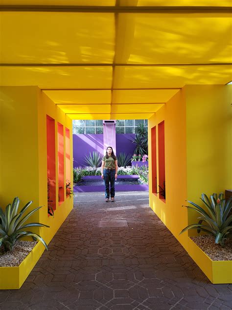 Exhibit at the Atlanta Botanical Gardens : r/AccidentalWesAnderson