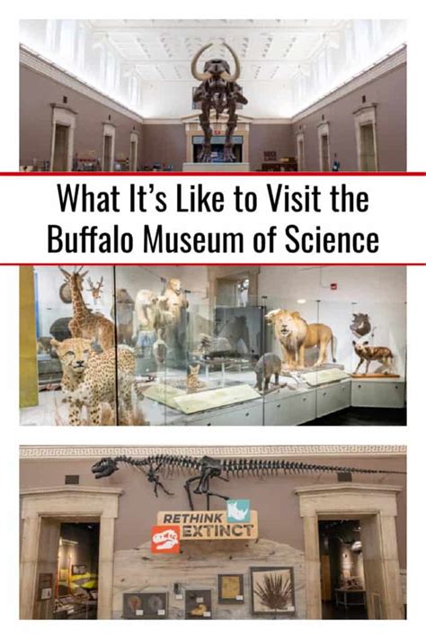 What It S Like To Visit The Buffalo Museum Of Science Uncovering New York