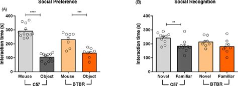 Aged BTBR Mice Display Impaired Social Behaviour Compared To