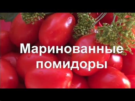 Маринованные помидоры - YouTube