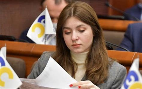 ДТП із депутаткою Київради: Ар'єва склала мандат - Korrespondent.net