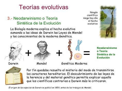 TRIPLE C Evolución de los seres vivos Neodarwinismo