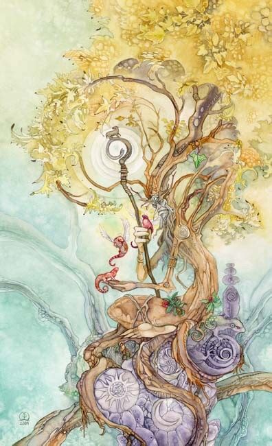 Cảm Nhận Lá bài The Hierophant Trong Shadowscapes Tarot 2024