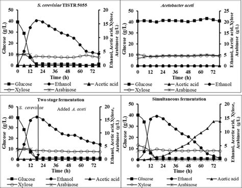 Time Course On Sugar Utilization Ethanol And Acetic Acid Production