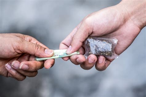 Démantèlement dun réseau de trafic de drogue à Oran El watan dz