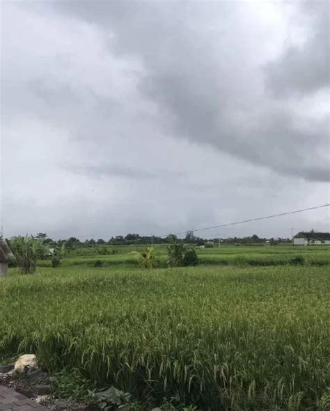 Dijual Tanah View Sawah Jalan Pantai Nyanyi Bali Tanah Dijual Di