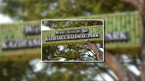 Top Wildlife Sanctuaries In Northeast India You Must Visit To See