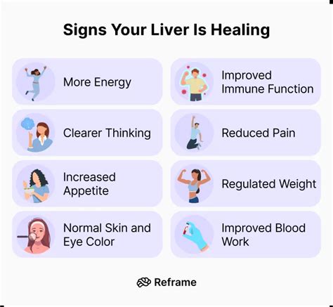 Can Your Liver Heal Itself Signs And Symptoms Of Recovery