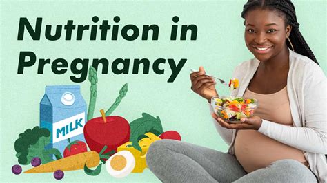 Nutrition In Pregnancy Ausmed