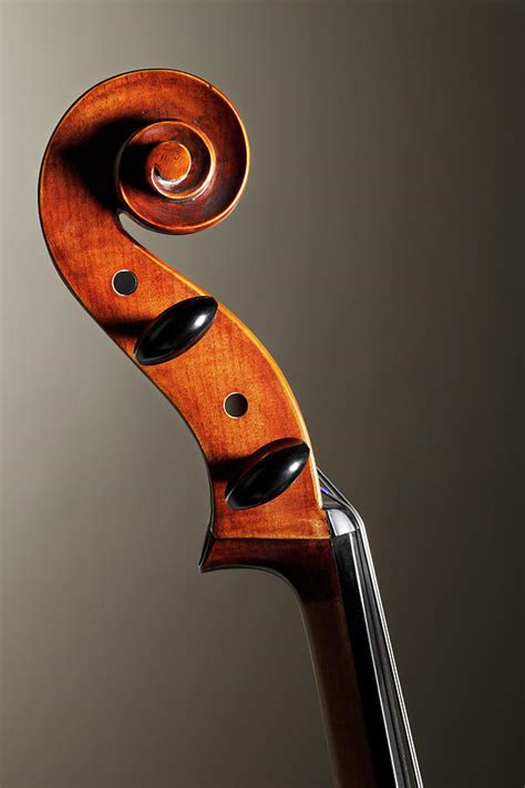 Cello Scroll By Dny59