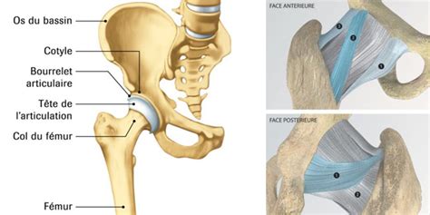 Nikos Varelas Chirurgie Orthopédique