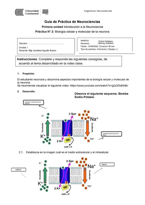 Guia práctica N 2 Biologia celular y molecular Asignatura