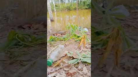 Spots Mancing Ikan Ya Mengerihkan Youtube