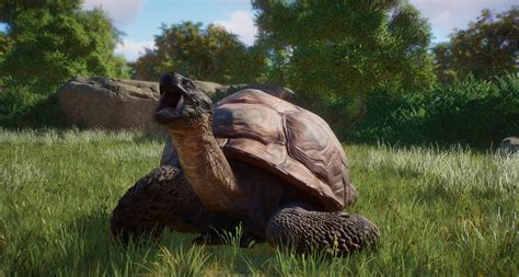 Скачать Planet Zoo Атласная черепаха новый вымирающий вид
