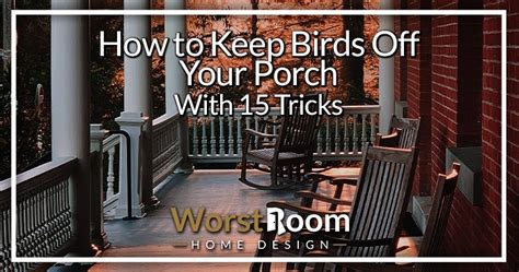 How To Keep Birds Off Your Porch With Tricks Worst Room