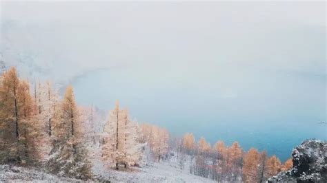 描写雪景的诗句古诗赏析（精选10首冬雪诗词） 我爱育娃