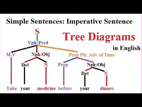 Tree Diagrams Simple Sentences Imperative In English YouTube