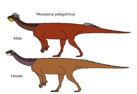 Mussaurus patagonicus by Draco300 on DeviantArt