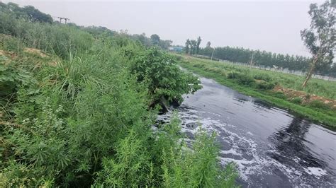 Mapping pollution in river Yamuna: Untreated effluent a challenge for ...