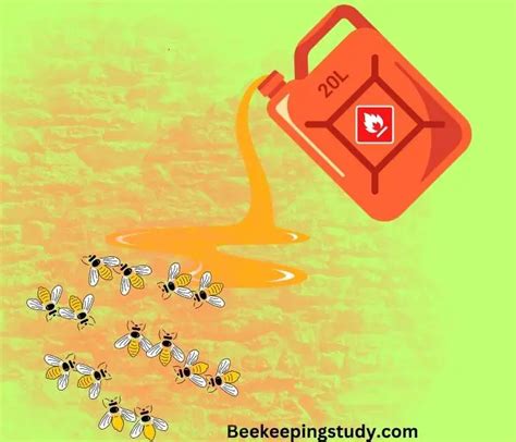 Impact Of Gas Does Gasoline Kill Bees Beekeepingstudy