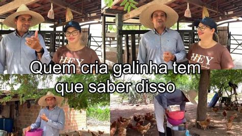 Quem Cria Galinha É Chamado De - QUEM CRIA GALINHAS TEM QUE SABER DISSO 🐓🥚E NUNCA DEIXE FALTAR:PATHY ...