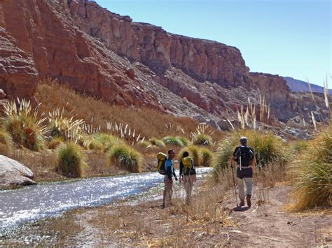 1 Day Hiking Tour In The Atacama Desert Chile 1 Day Trip Certified Guide