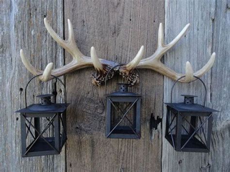 Antler Ideas, Deer Antler Decor, Antler Wall, Deer Antlers, Deer Antler ...